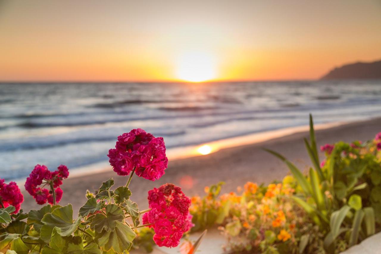 Dandidis Seaside Pension آغيوس غوذيوس المظهر الخارجي الصورة